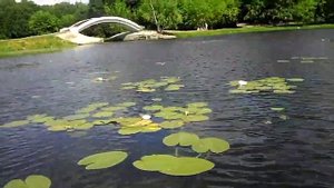 Рыбалка на Головинских прудах Часть 3