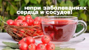 Магия Дерева - Боярышник! Tree Magic - Hawthorn!