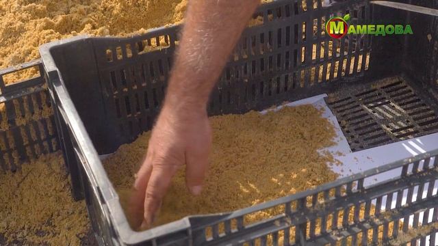 ХРАНЕНИЕ МОРКОВИ НА ЗИМУ! Способы хранения от профессора! смотреть онлайн