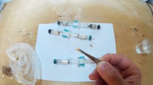 МУРАВЬИНАЯ ФЕРМА. КАК И ЧЕМ КОРМИТЬ МУРАВЬЕВ. HOW AND WHAT TO FEED THE ANTS.