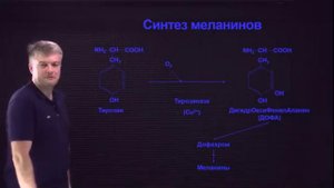 Биохимия: Обмен фенилаланина и тирозина