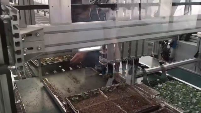 Transplant Machine смотреть онлайн