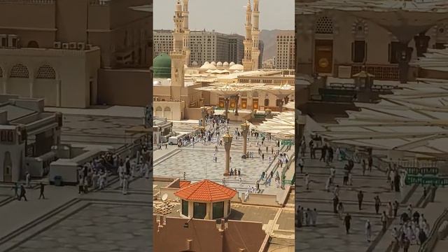 masjid nabawi from hotel#shortviral #shortvideo