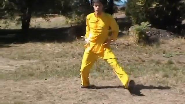 Багуа-чжан (Ладонь восьми триграмм) смотреть онлайн