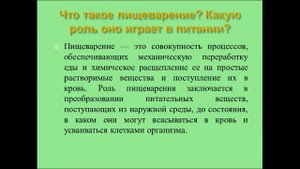 Питание и пищеварение. Урок биологии.