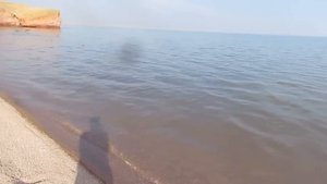 Казахстан. Шардара. Морской клуб