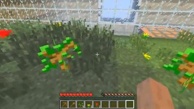 Minecraft Ant farm. Часть 1 Начало