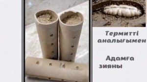 Как убить термитов,Средства от термитов, матка термитов