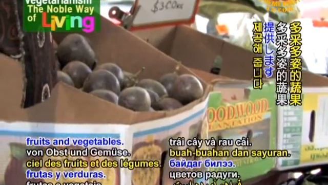 Organic Shopping Adventures in Australia's Sunshine Coast смотреть онлайн