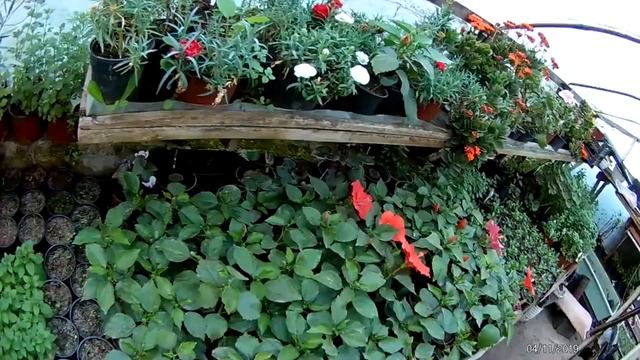 5 растений дающих максимальную прибыль.