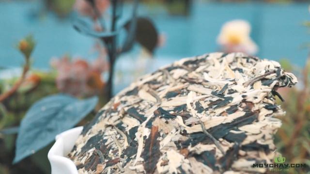 Белый | white tea смотреть онлайн