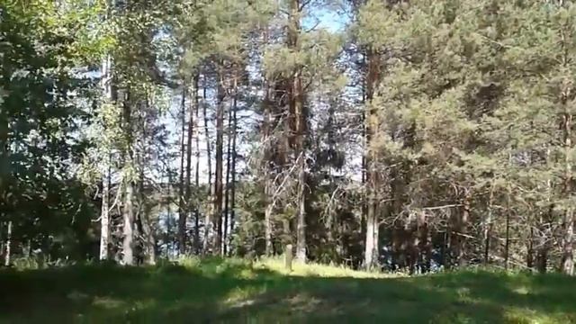 Озеро "Светлояр".Легенда о граде Китеж