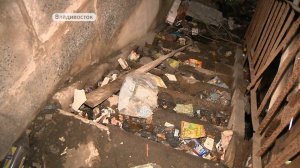 Бомбоубежище или помойка? Жители улицы Каплунова во Владивостоке подают в суд на Росимущество