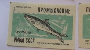 Спичечные этикетки. Набор Промысловые рыбы СССР.