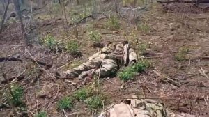 мертвые хохлы часть2