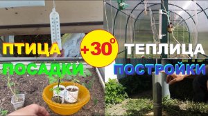 Майская жара