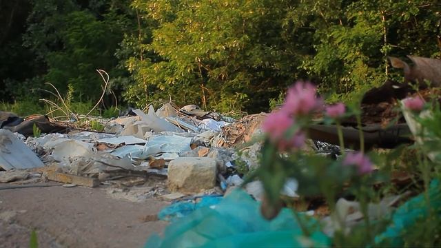 Социальная реклама "Берегите природу". смотреть онлайн