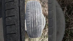 Nexen N blue Hd Plus 195-65-15