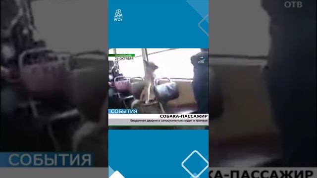 РИЛ | Когда переехал от родителей в общагу