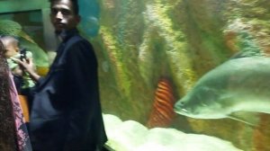 Radiant Fish Word Cox,s Bazar