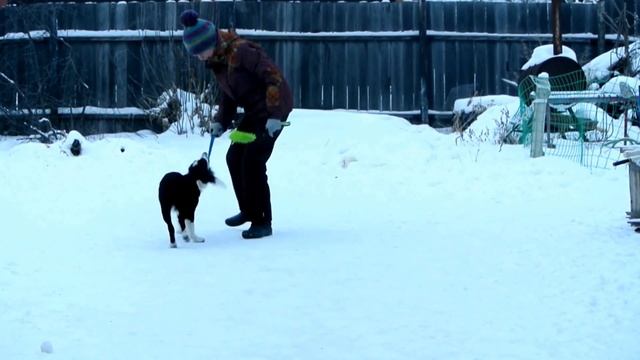 Апортировка часть 2. Подъем гантели. Lumos Solem Vilka смотреть онлайн