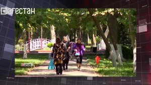 «Дежурная часть». Фиктивная авария ради страховки