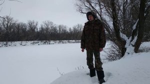 Бесплатный валежник/Закон о валежнике 2019/Собирать можно или нет?