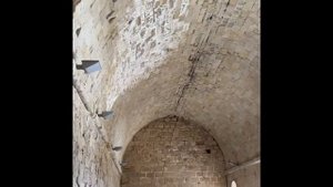 Medieval Castle of Miravet & the small town.