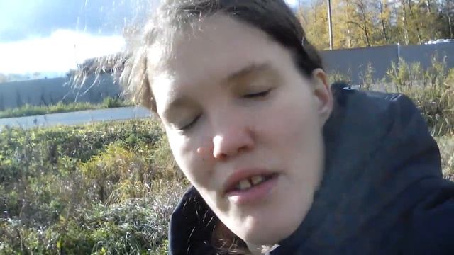 много ли хренку? смотреть онлайн