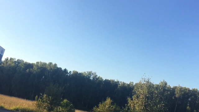 ЧЕХОВСКИЕ ПРОХОДИМЦЫ 