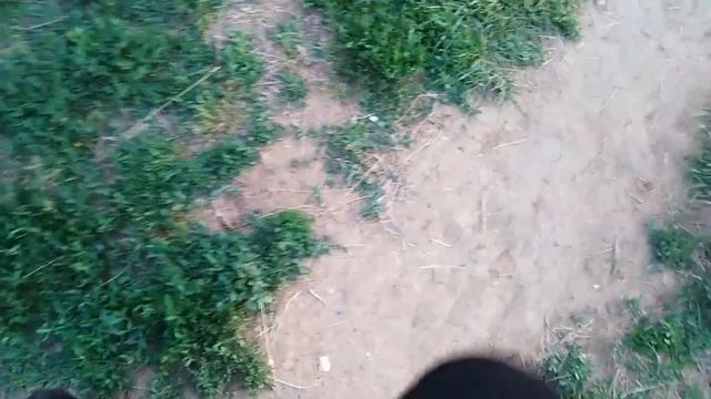 Не СОБАКИ а КОЗЛИКИ // Чёрный МОПС // 3 + 1 // НЮРА смотреть онлайн