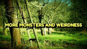 “More Monsters and Weirdness” | Paranormal Stories