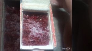 Почему я не делал так раньше!? Как правильно хранить мотыля. Мотыль с крахмалом.