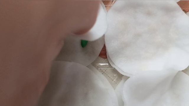 Супер способ проращивания семян.