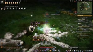 Black Desert - Луг Наван. Золотая середина. Обзор спота