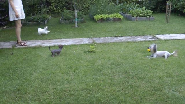 первый выезд на дачу 29.06.2013 смотреть онлайн