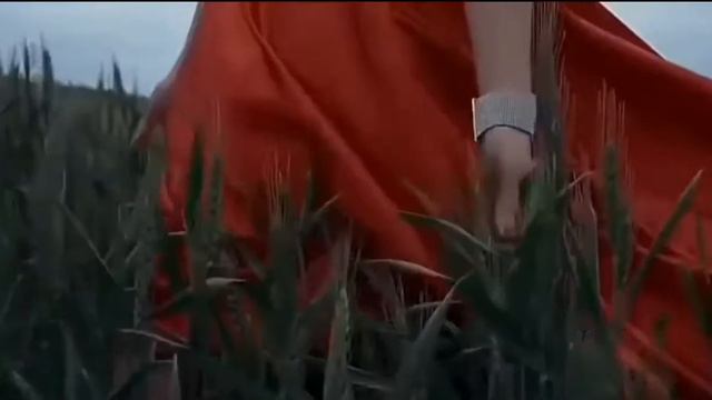 Очень красивая АРАБСКАЯ песня ! Beautiful Arabian Song Песни о любви Музыка для души смотреть онлайн