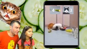 КОТЫ vs ОГУРЦЫ! НЕ ЗАСМЕЙСЯ ЧЕЛЛЕНДЖ с КОТАМИ Попробуй не засмеяться Валеришка Cats vs Cucumbers