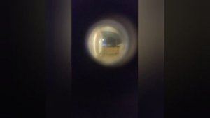 Что я увидел в дверном глазке