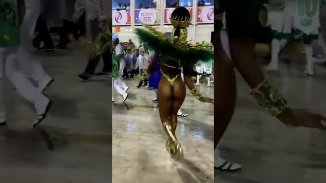 não deixe o samba acabar #samba #carnaval2023