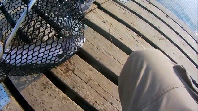 ЛОВИМ КРУПНУЮ ФОРЕЛЬ НА РЕЗИНУ, Клёвое место Савельево смотреть онлайн