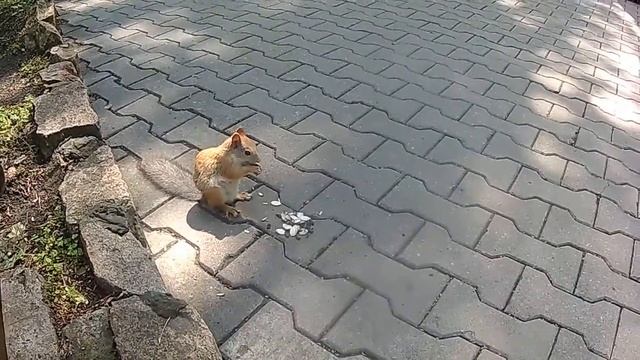 санаторий увильды школа юных белочка смотреть онлайн