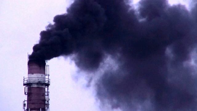 Дымит как паровоз Ecology Protection of Nature
