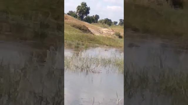 NABARD  funded POND saved 10 acre Paddy crop in kundhit , in 2018 drought