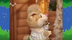 Вечер в Шишкином Лесу. Быт. Коллекционер