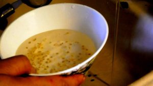 Выпускаем семена из помидор. Промывка семян.