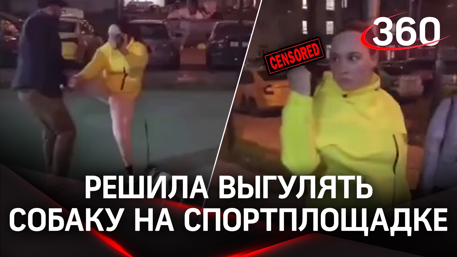 Женщина решила выгулять собаку на спортплощадке и подралась с мужчинами в ответ на замечания