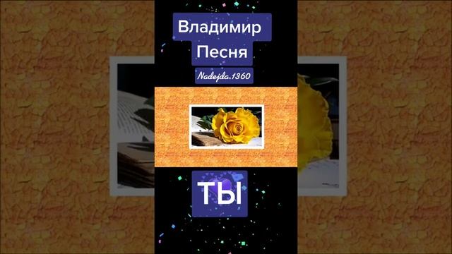 Владимир Песня"ТЫ"