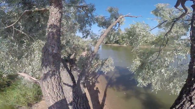 "Татищево" обзор тарзанки) смотреть онлайн