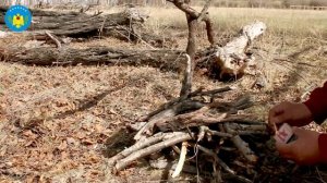 Берегите лес от пожара